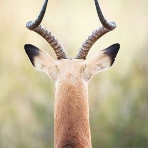 Meet your Posher, Assunta